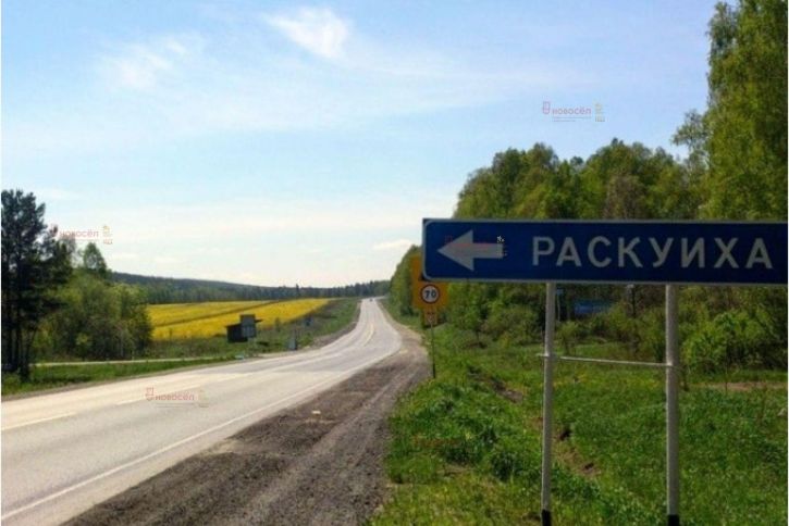 Земельный участок д. Раскуиха