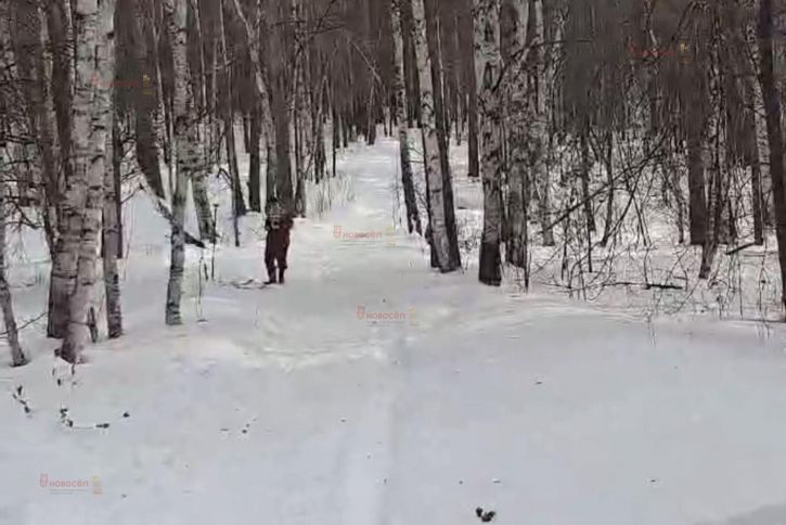 Земельный участок д. Раскуиха